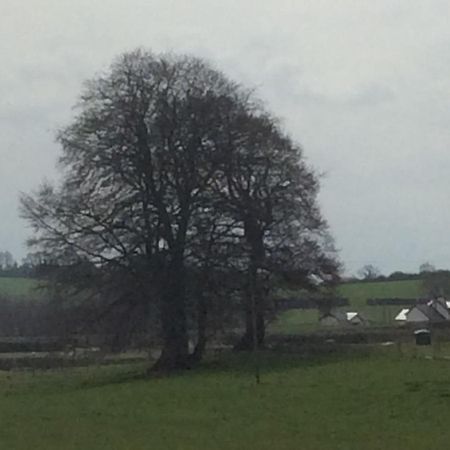 Rathgillen Lodge Nobber Exterior foto